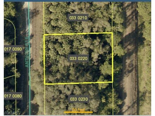 1032 Anthony Street E Lehigh Acres FL 33974 2025014734 image1