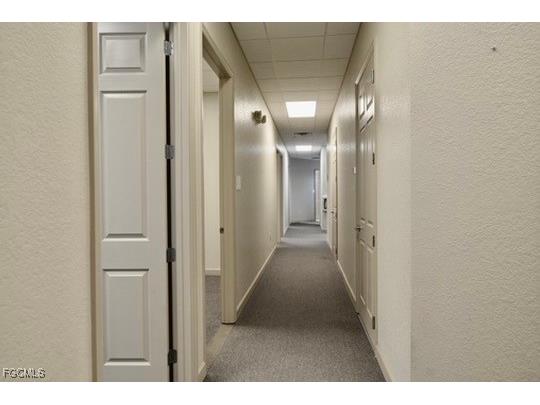 1032 Tamiami Trail #7 Port Charlotte FL 33953 2025005800 image25