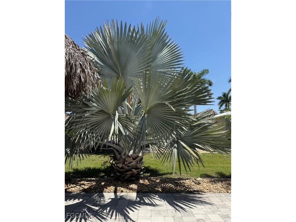 10323 Fire Flag Trail Fort Myers FL 33905 2025019512 image12