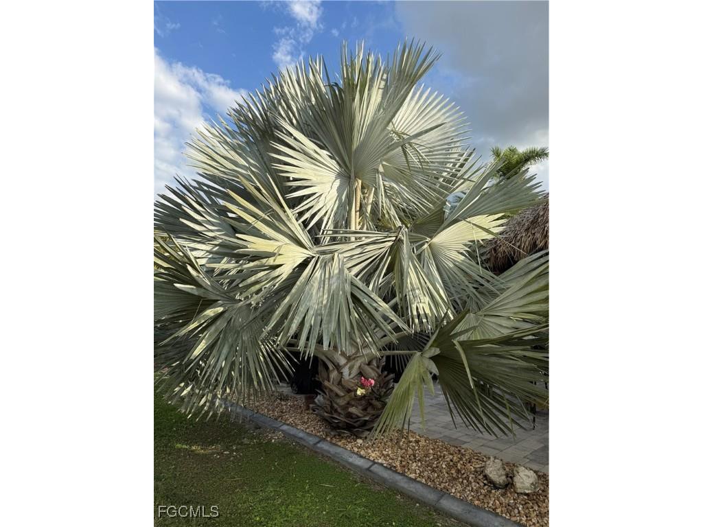 10323 Fire Flag Trail Fort Myers FL 33905 2025019512 image13