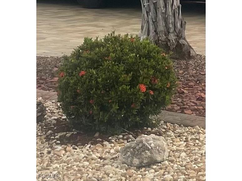 10323 Fire Flag Trail Fort Myers FL 33905 2025019512 image34