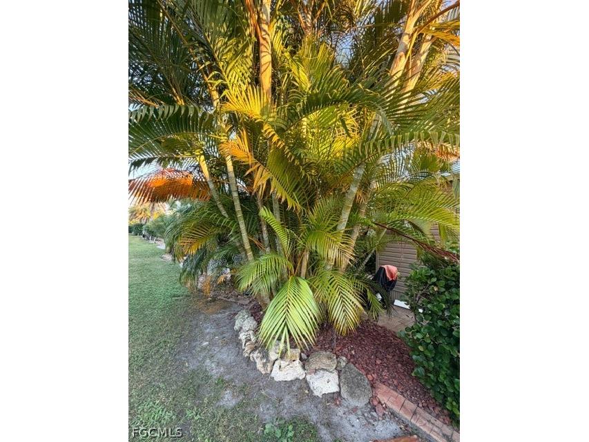 10325 Fire Flag Trail Fort Myers FL 33905 2026010728 image15