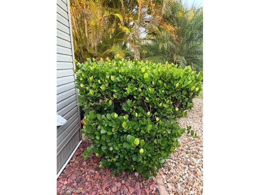 10325 Fire Flag Trail Fort Myers FL 33905 2026010728 image16