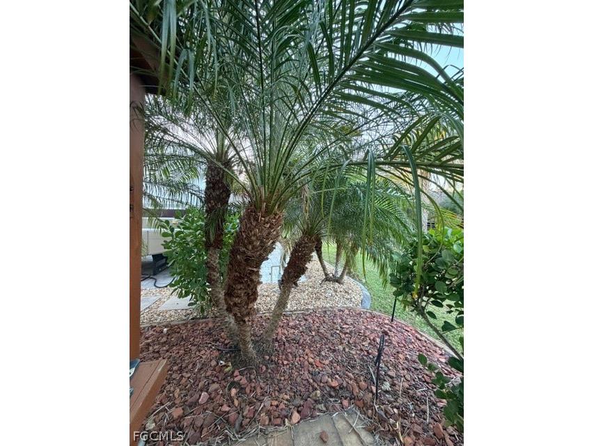 10325 Fire Flag Trail Fort Myers FL 33905 2026010728 image9