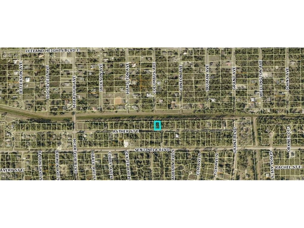 1033 Asther Street E Lehigh Acres FL 33974 2025024836 image2