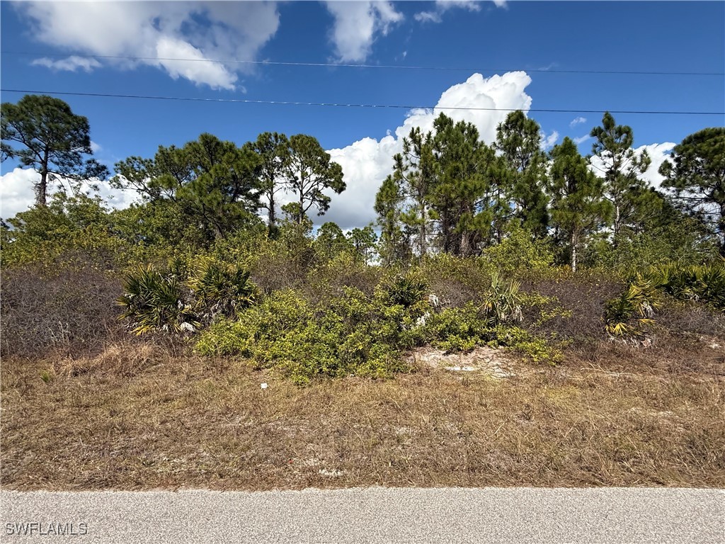  Lehigh Acres FL 33974 226003734 image1