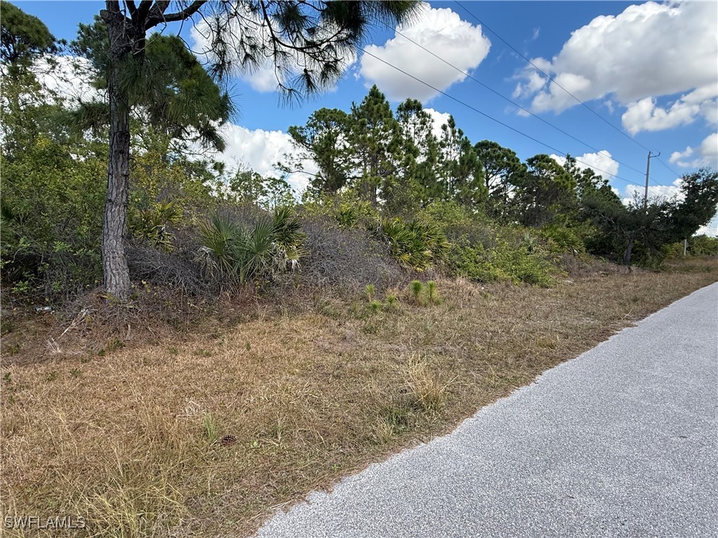  Lehigh Acres FL 33974 226003734 image3