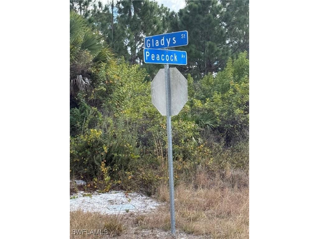  Lehigh Acres FL 33974 226003734 image4