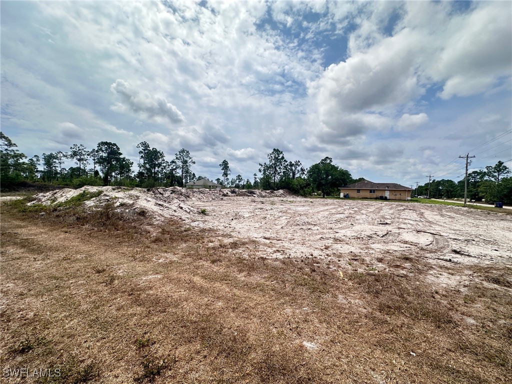 1033 Joponica Avenue S Lehigh Acres FL 33974 225046390 image1