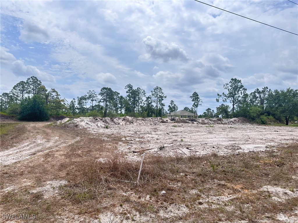 1033 Joponica Avenue S Lehigh Acres FL 33974 225046390 image2