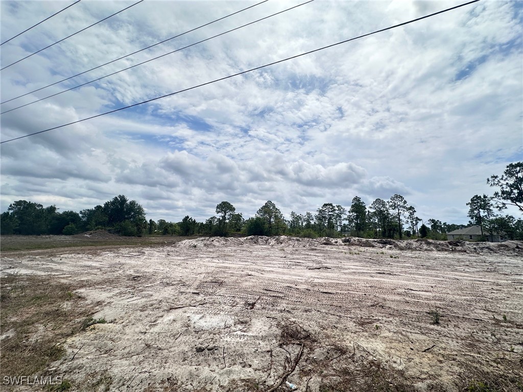 1033 Joponica Avenue S Lehigh Acres FL 33974 225046390 image9