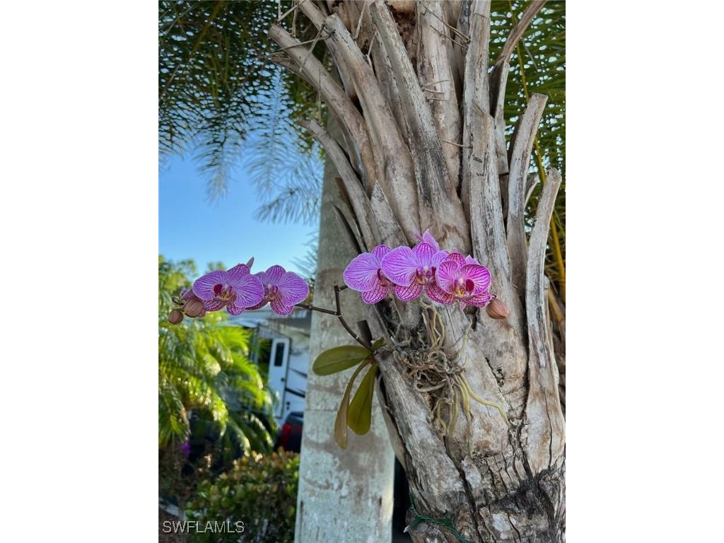 10339 Prairie Iris Trail Fort Myers FL 33905 225051906 image8