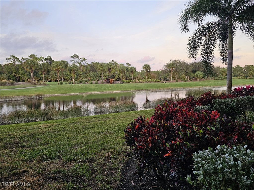 10341 Heritage Bay Boulevard #1911 Naples FL 34120 225082113 image24