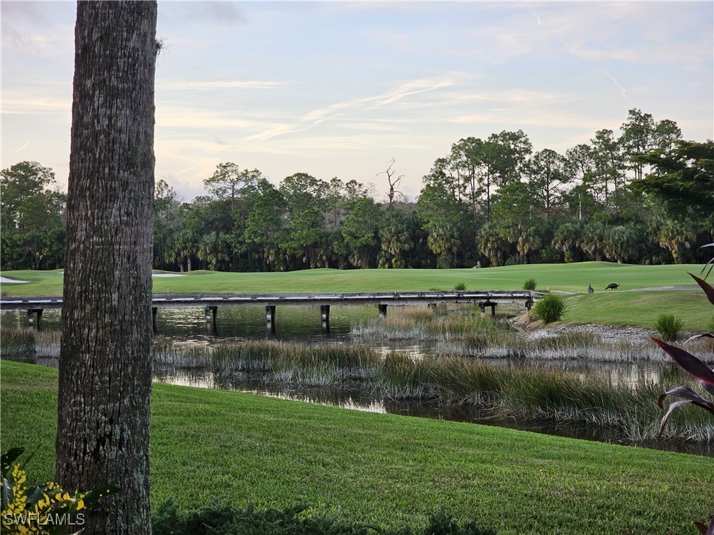 10341 Heritage Bay Boulevard #1911 Naples FL 34120 225082113 image25