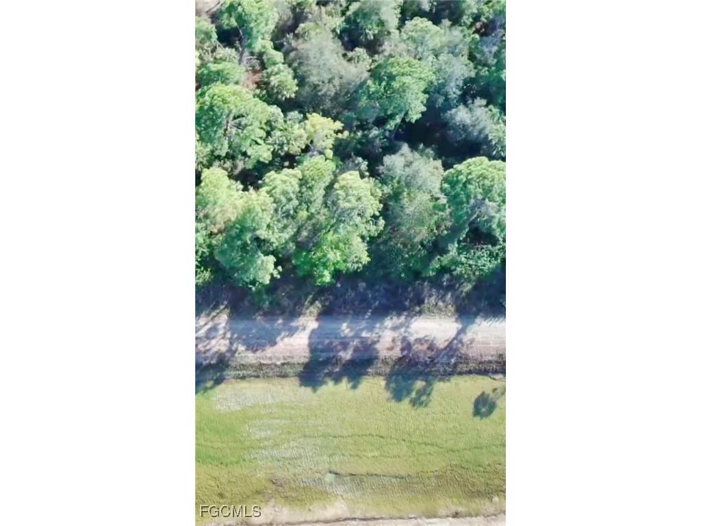 1035 Asther Street E Lehigh Acres FL 33974 2025024835 image8