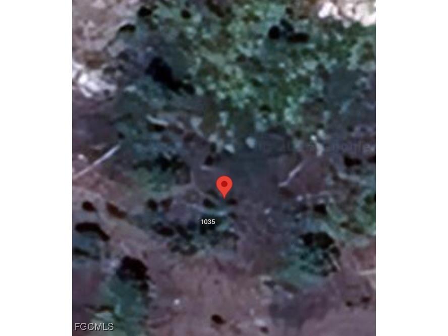 1035 Darlington Street Lehigh Acres FL 33974 2025014592 image7