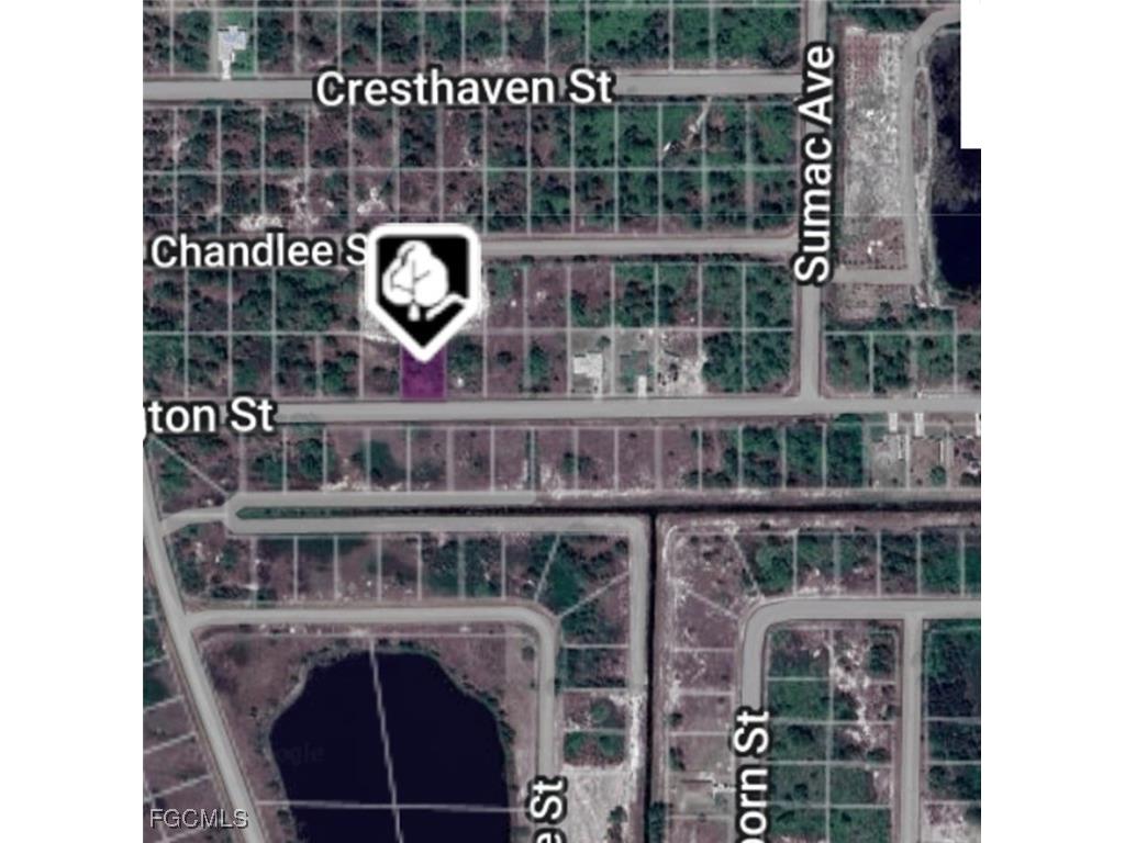 1035 Darlington Street Lehigh Acres FL 33974 2025014592 image8