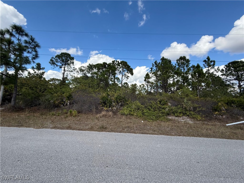1035 Gladys Street Lehigh Acres FL 33974 226003731 image1