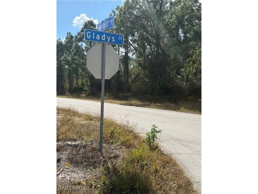 1035 Gladys Street Lehigh Acres FL 33974 226003731 image3
