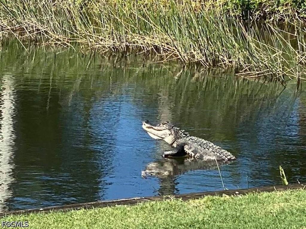 10350 Washingtonia Palm Way #4223 Fort Myers FL 33966 2026013520 image45