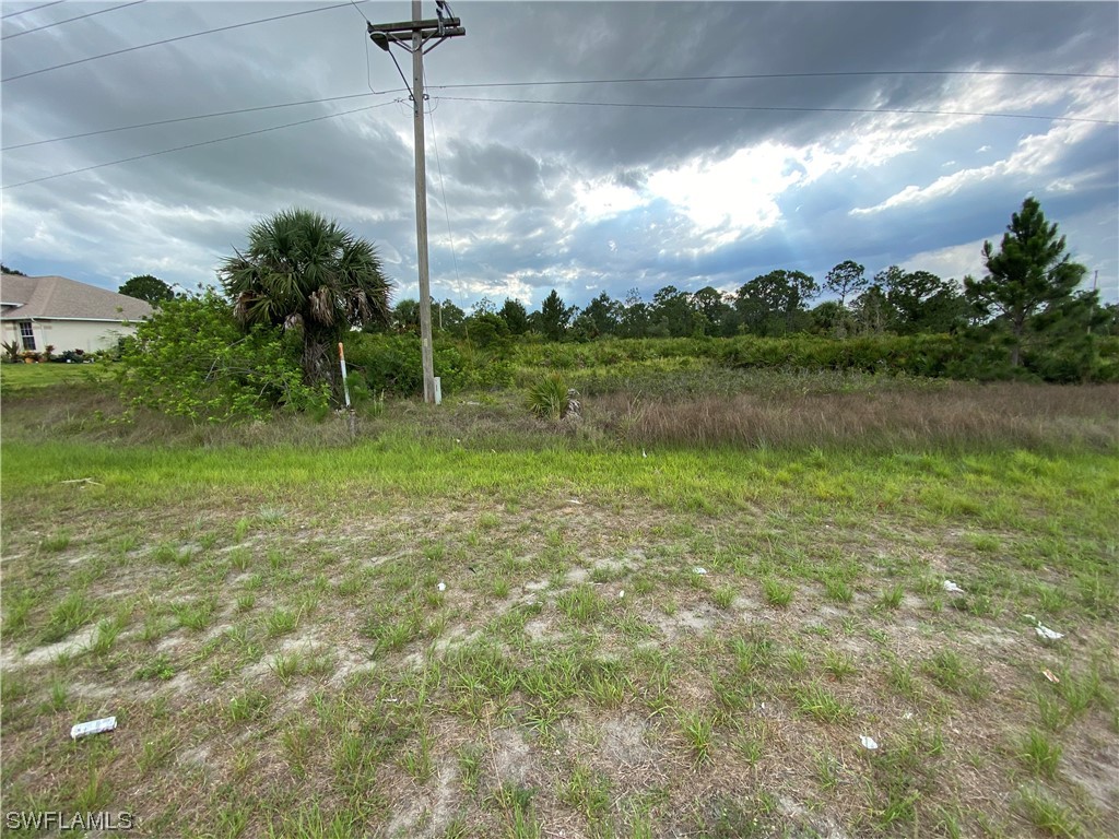 1036 Bell Boulevard S Lehigh Acres FL 33974 223039464 image1