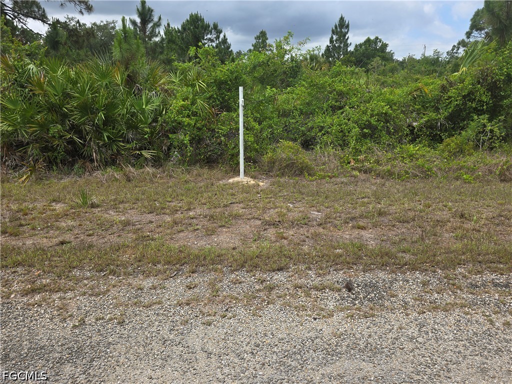 1036 Card Street E Lehigh Acres FL 33974 2026019257 image1