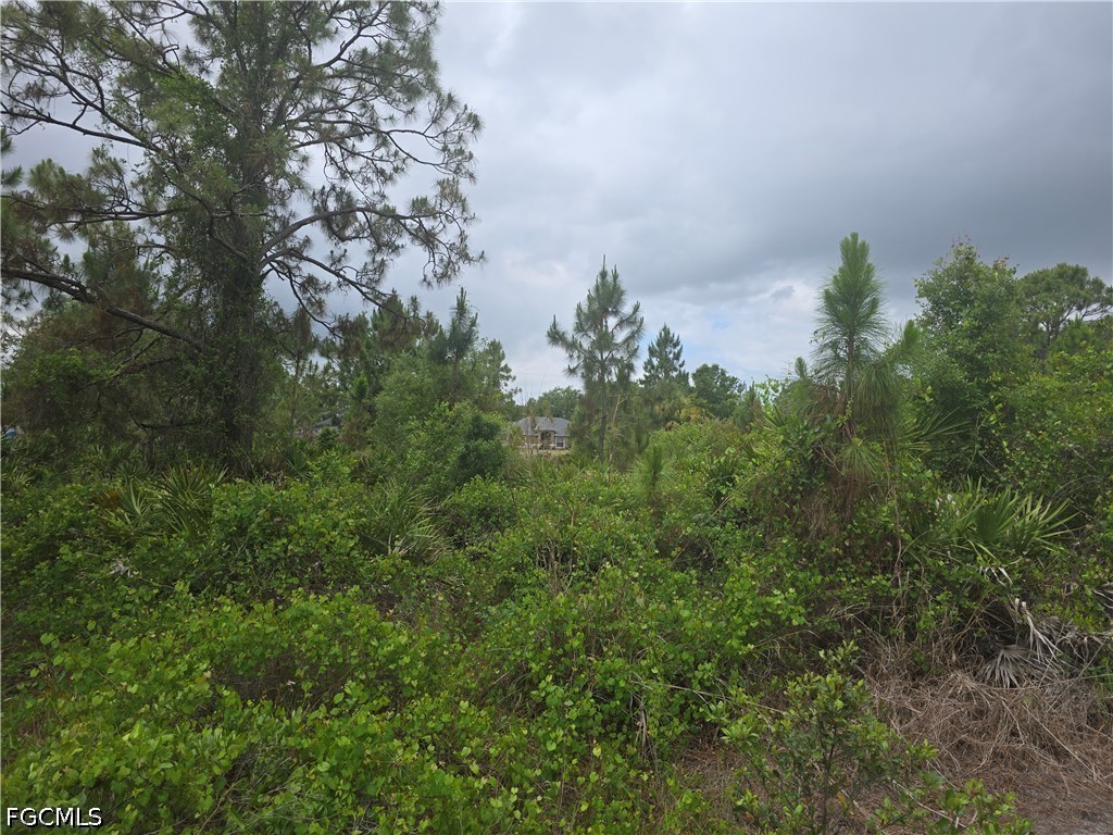 1036 Card Street E Lehigh Acres FL 33974 2026019257 image2