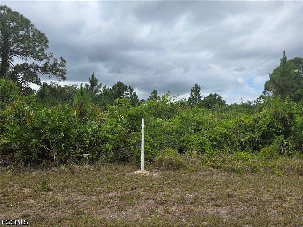 1036 Card Street E Lehigh Acres FL 33974 2026019257 image3