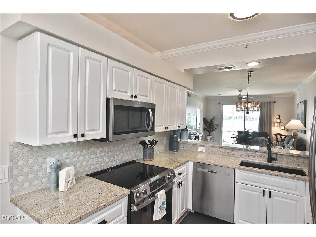 10381 Butterfly Palm Drive #915 Fort Myers FL 33966 2025024217 image10