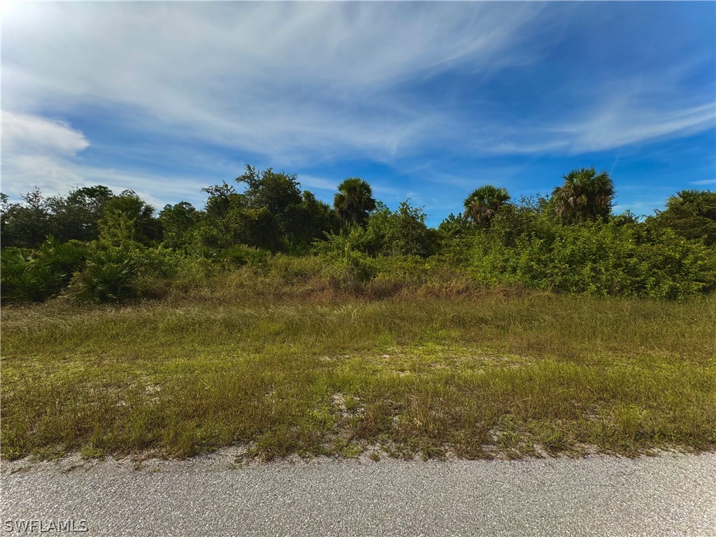 1039 Grant Boulevard Lehigh Acres FL 33974 224043652 image1