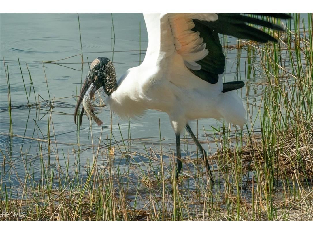 10390 Glastonbury Circle #102 Fort Myers FL 33913 2025012298 image28