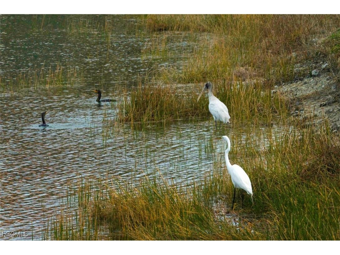 10390 Glastonbury Circle #102 Fort Myers FL 33913 2025012298 image29