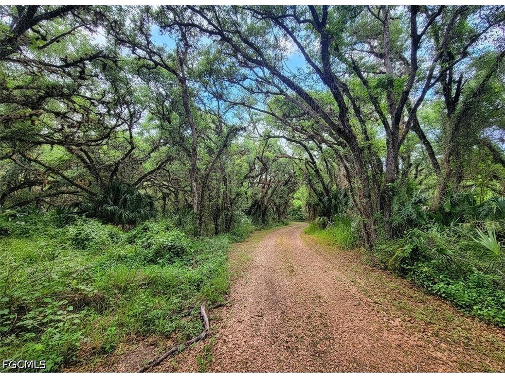 1040 Kirby Thompson Road Labelle FL 33935 2026018467 image1