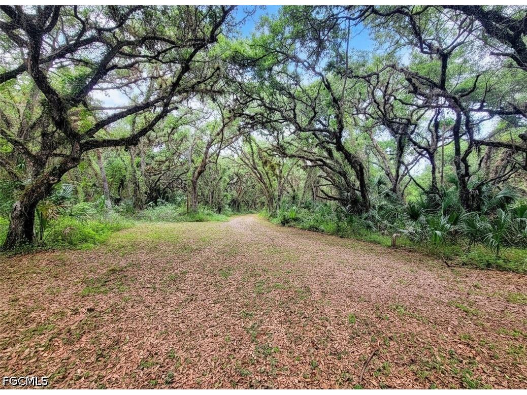 1040 Kirby Thompson Road Labelle FL 33935 2026018467 image2