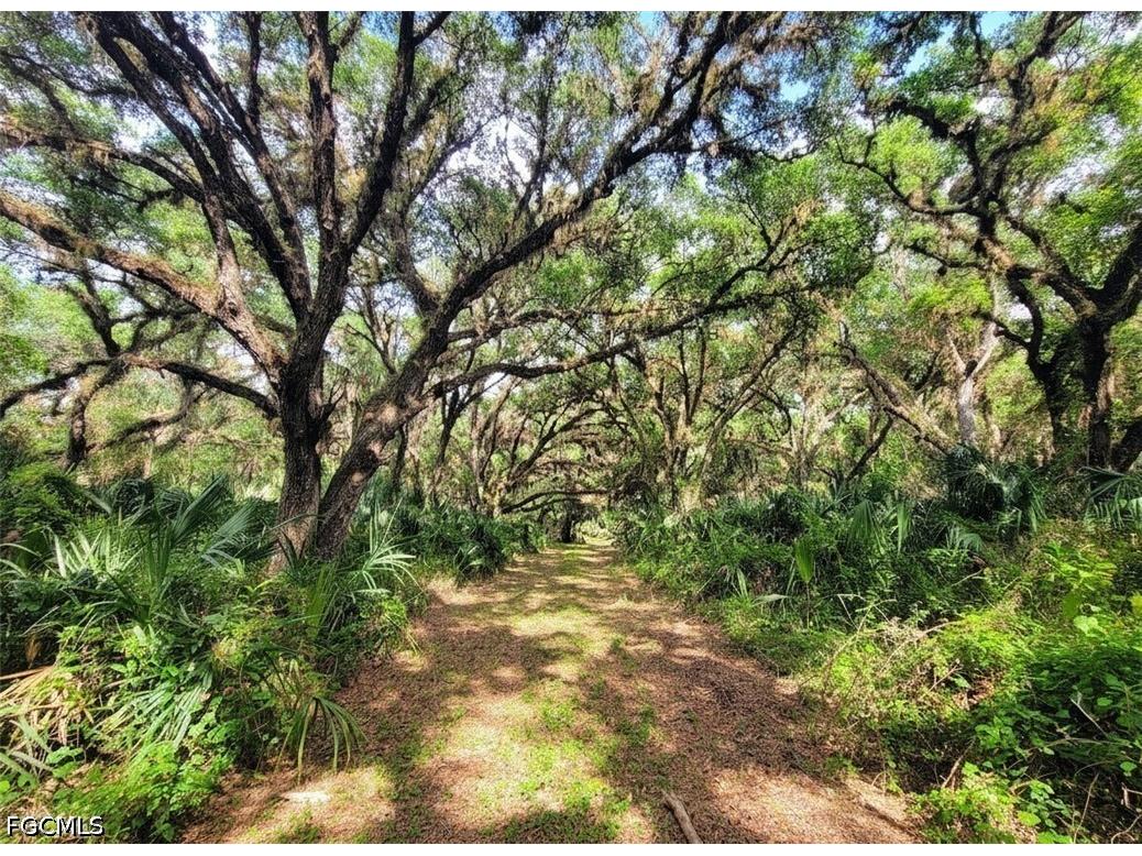 1040 Kirby Thompson Road Labelle FL 33935 2026018467 image3