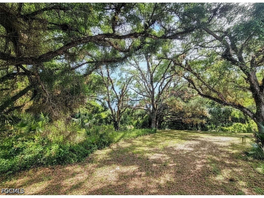 1040 Kirby Thompson Road Labelle FL 33935 2026018467 image4