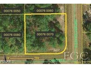 1041 Card Street E Lehigh Acres FL 33974 2025016067 image2