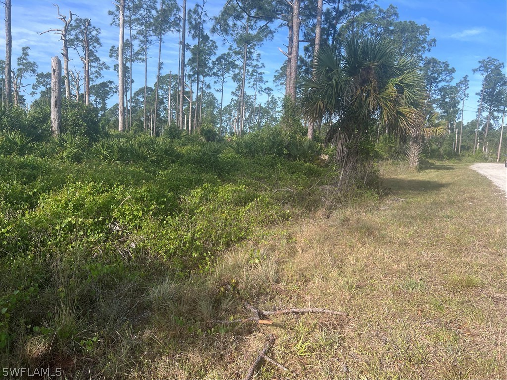 1042 Greenfield Street Lehigh Acres FL 33974 224031566 image1