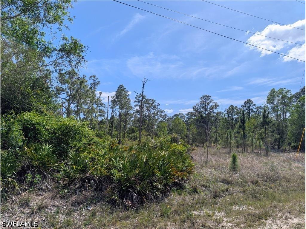 1042 Manning Street Lehigh Acres FL 33974 226015651 image1