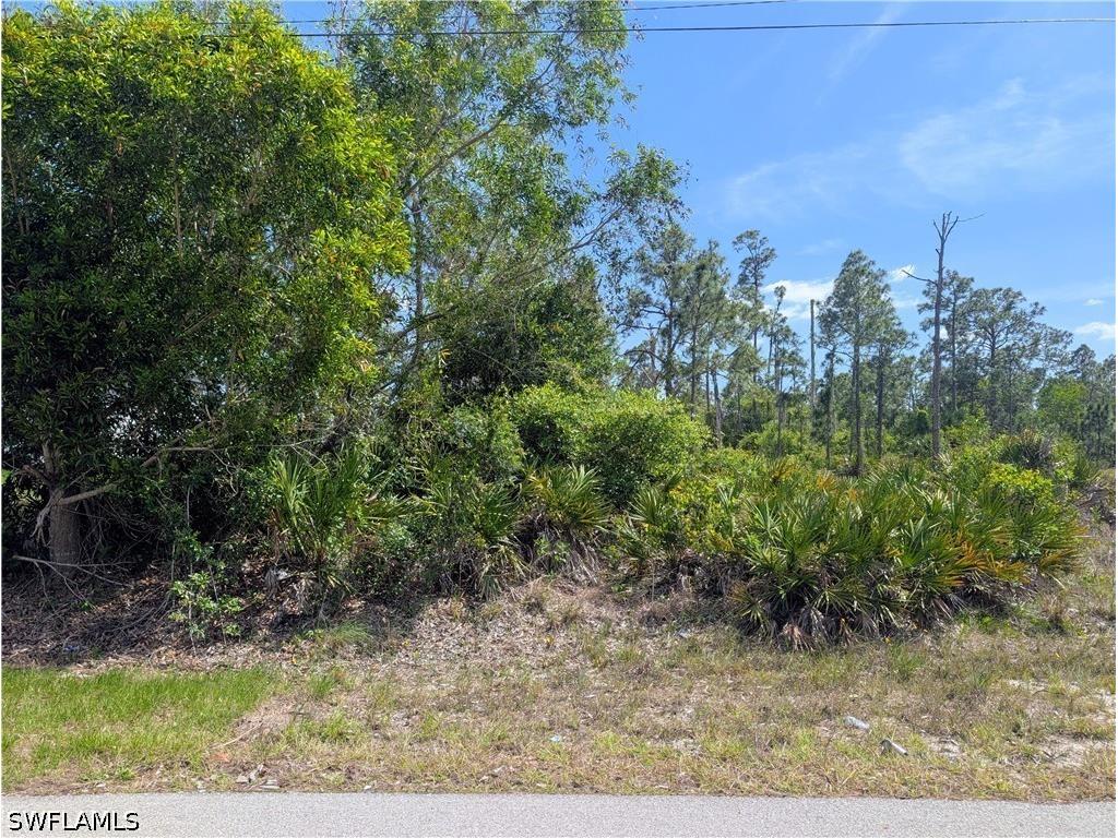 1042 Manning Street Lehigh Acres FL 33974 226015651 image3