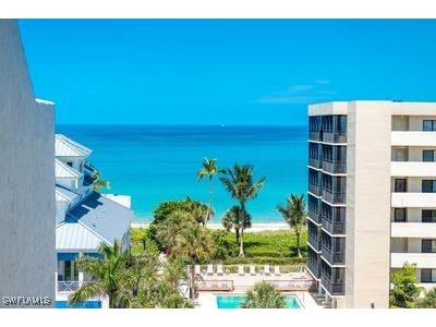 10420 Gulf Shore Drive #162 Naples FL 34108 225083395 image4