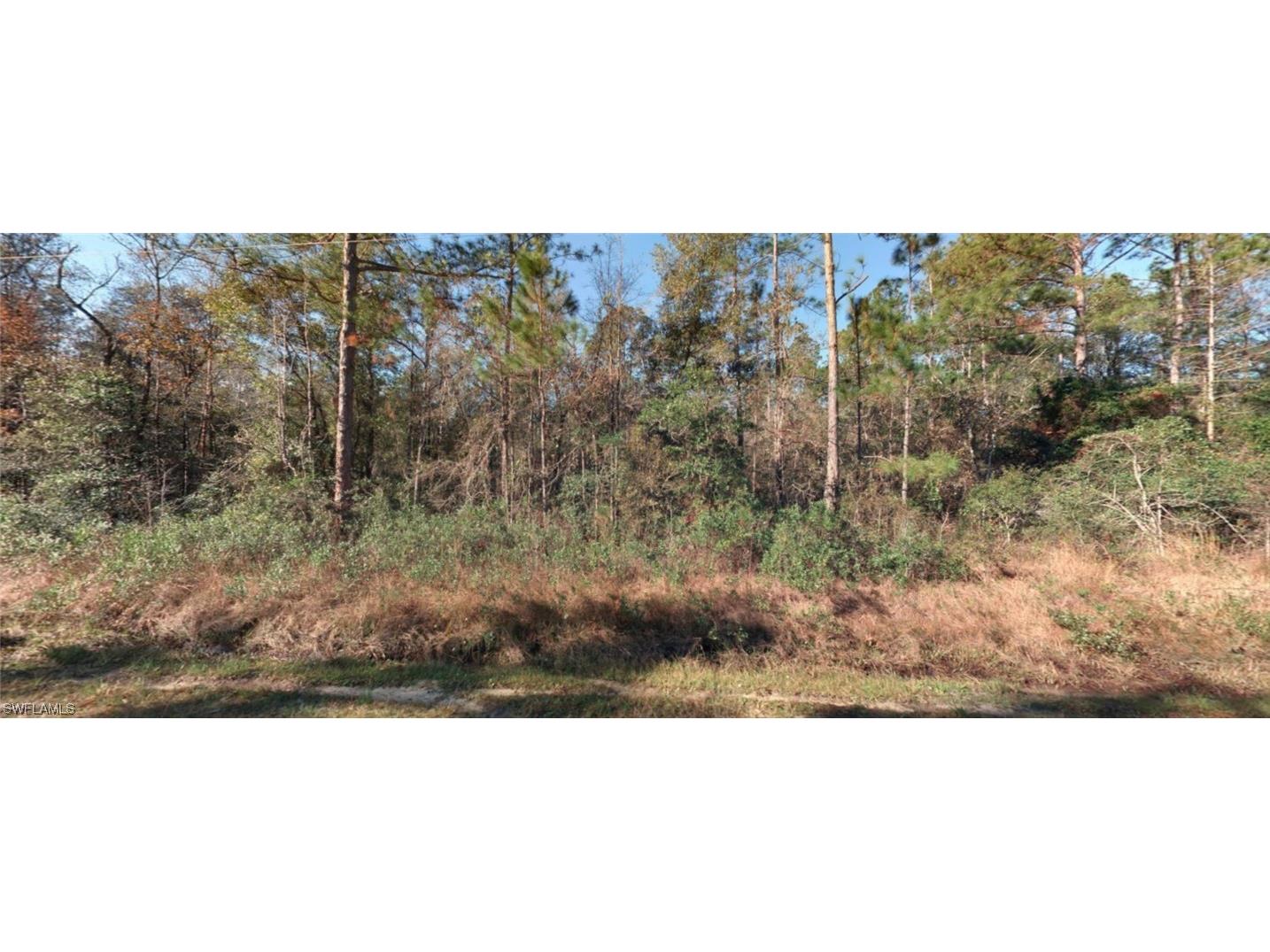 10435 Carpenter Ave Hastings FL 32145 223045426 image1