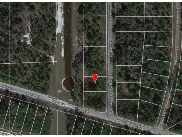 1044 Anaconda Avenue S Lehigh Acres FL 33974 223062589 image1
