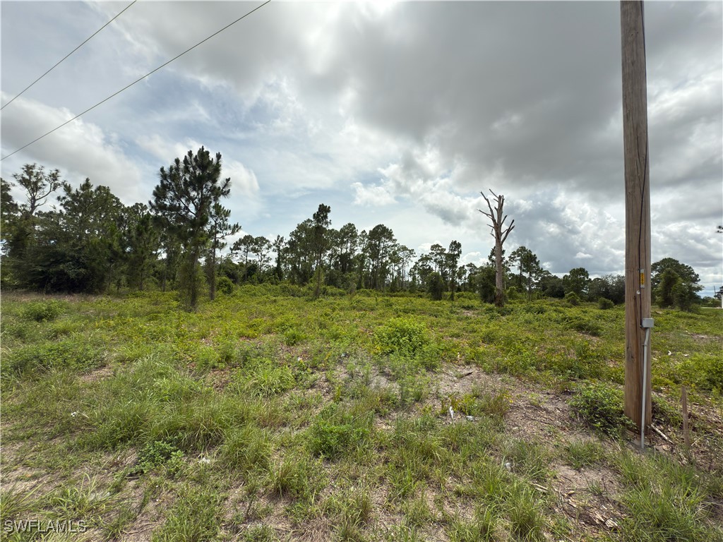 1044 Mansion Avenue S Lehigh Acres FL 33974 225052899 image1