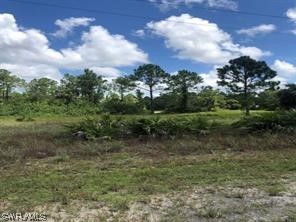 1045 Butler Street E Lehigh Acres FL 33974 223016297 image1