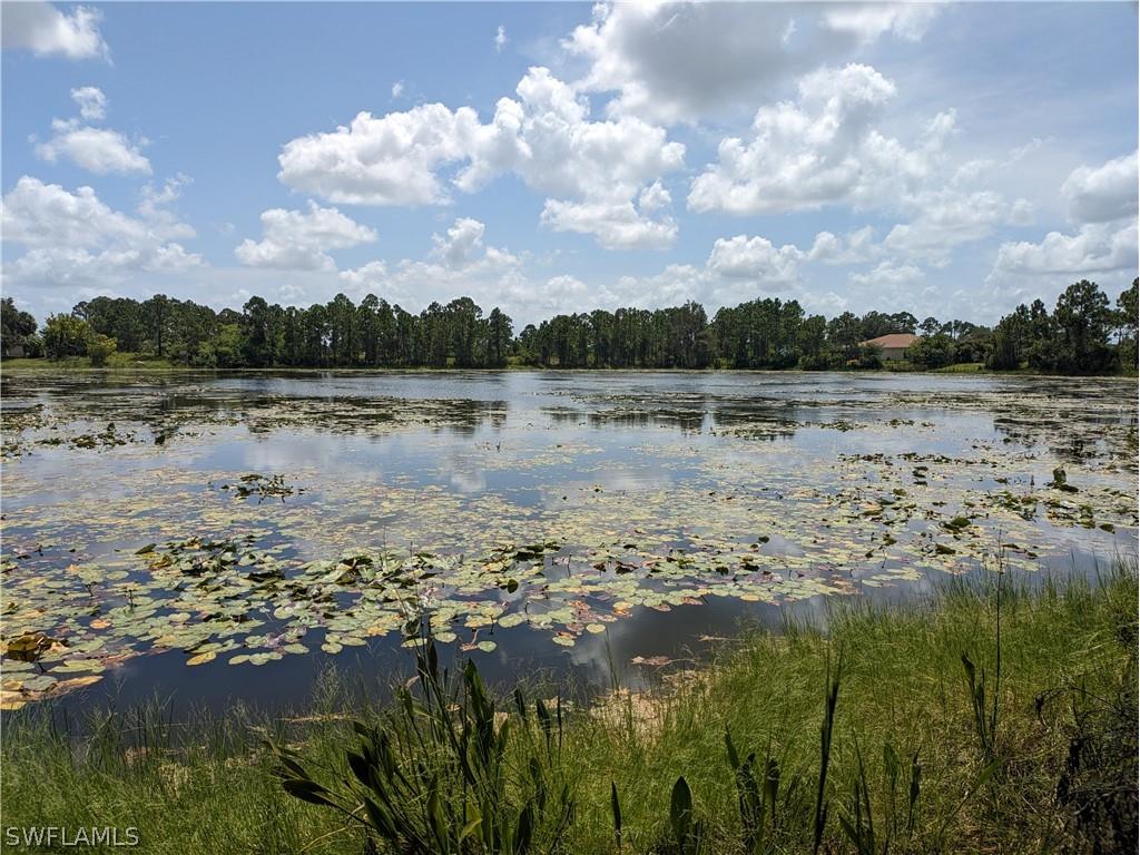 1045 Marathon Avenue S Lehigh Acres FL 33974 226008811 image3