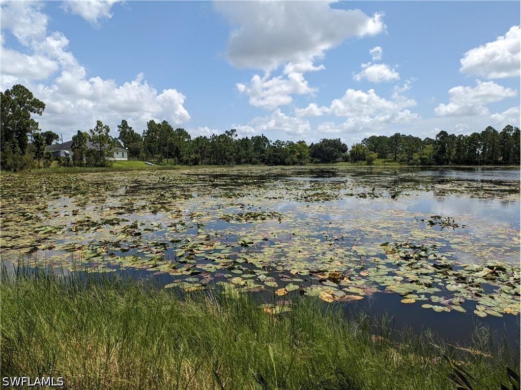 1045 Marathon Avenue S Lehigh Acres FL 33974 226024924 image2