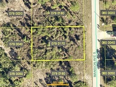 1046 Mansion Avenue S Lehigh Acres FL 33974 224083170 image1