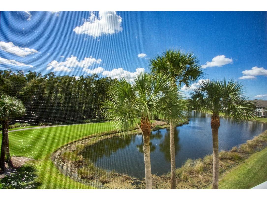 10461 Washingtonia Palm Way #3435 Fort Myers FL 33966 2025019074 image15