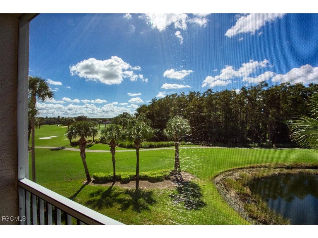 10461 Washingtonia Palm Way #3435 Fort Myers FL 33966 2025019074 image3